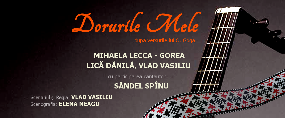Premieră: DORURILE MELE, regia: Vlad Vasiliu @Sala Mare
