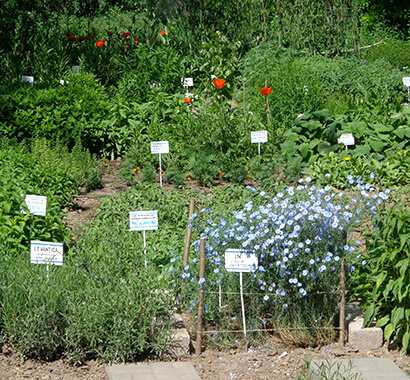 Botanical Garden - Sensorial Gardenă